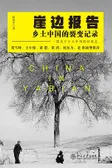 崖边报告